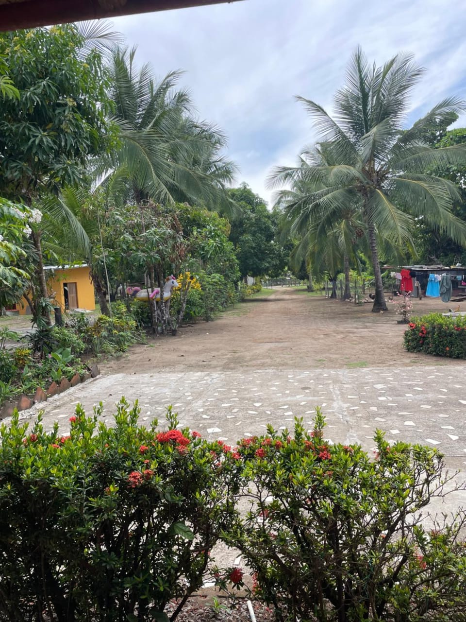 Casa pacífico las lajas Bed and Breakfast in Chiriquí Province