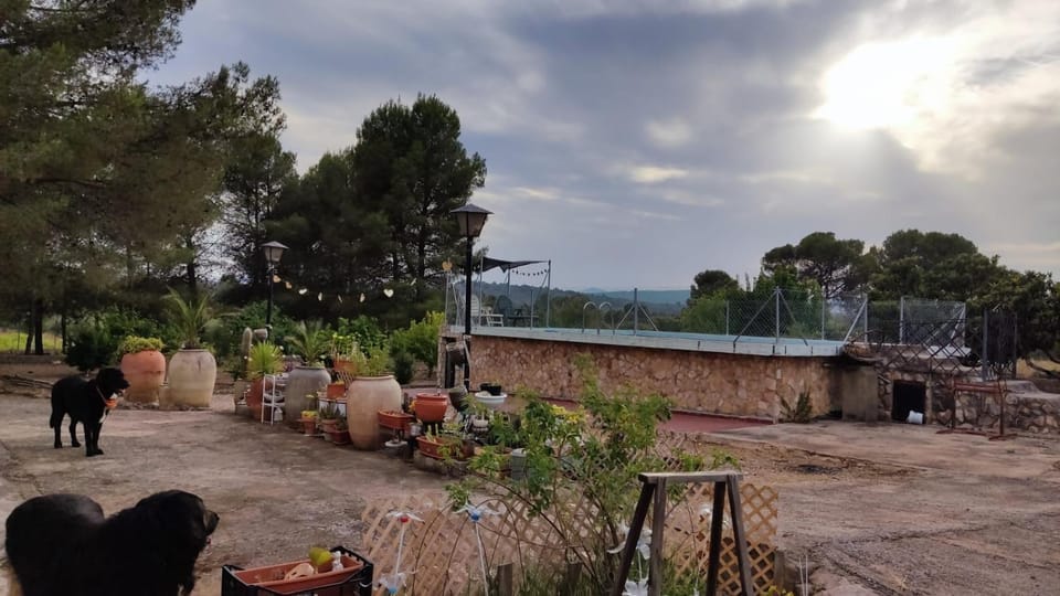 Garden, Garden view