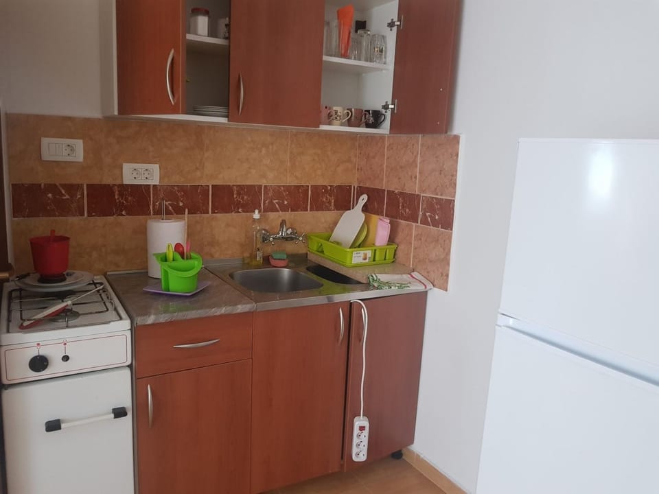 Spa apartman Apartment in Novi Sad