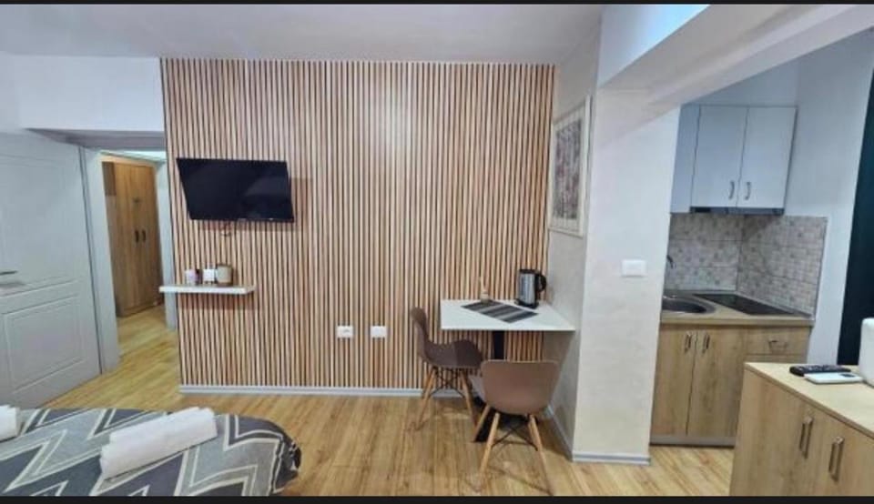 Ergi Studio Apartment Apartment in Tirana