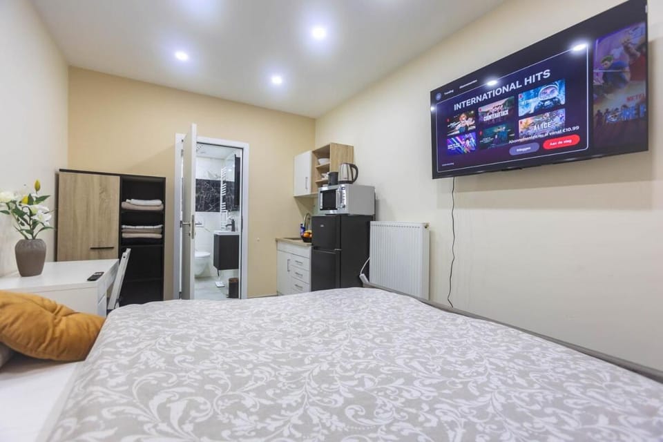 Bed, TV and multimedia, Kitchen or kitchenette, Photo of the whole room, Bedroom