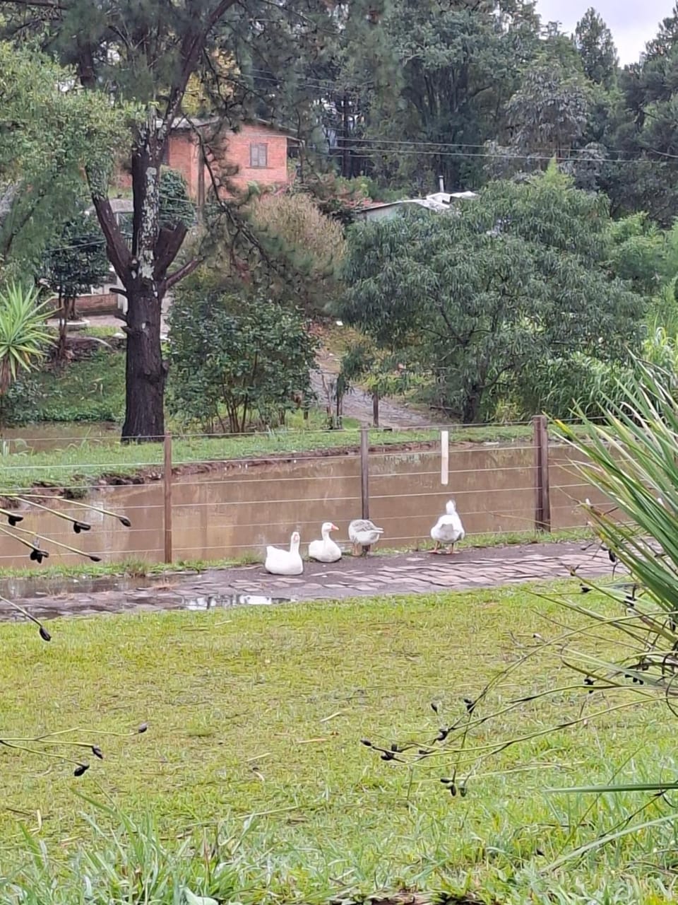 Sitio Renascer Chalet in State of Santa Catarina