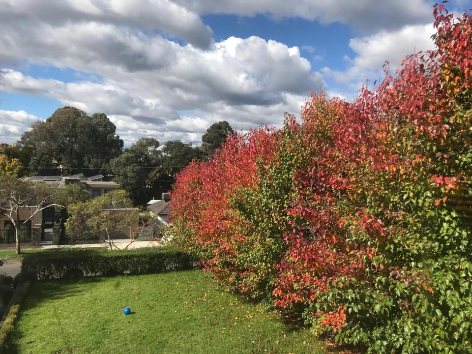 Day, Garden