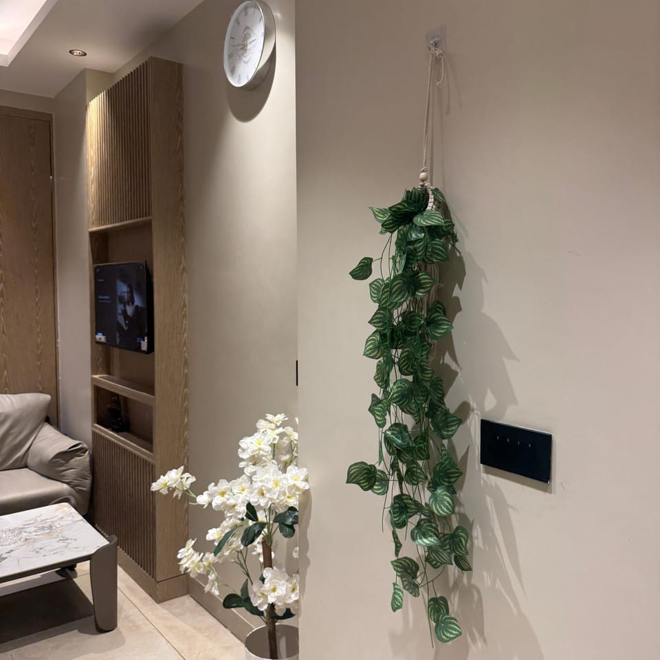 Premium 2 RK Apartment for Families & Friends Vacation rental in Noida