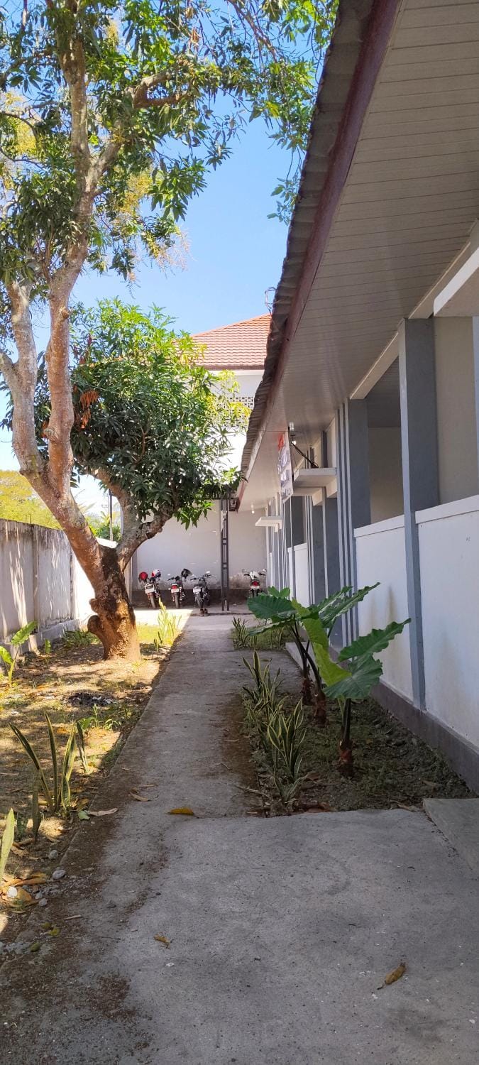 Property building, Day, Garden view
