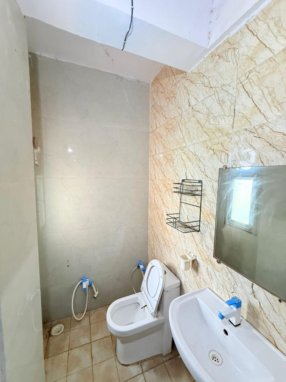BRS Braj Homes Apartment in Uttar Pradesh
