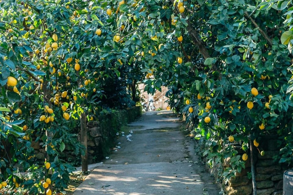 Natural landscape, Garden, Garden view
