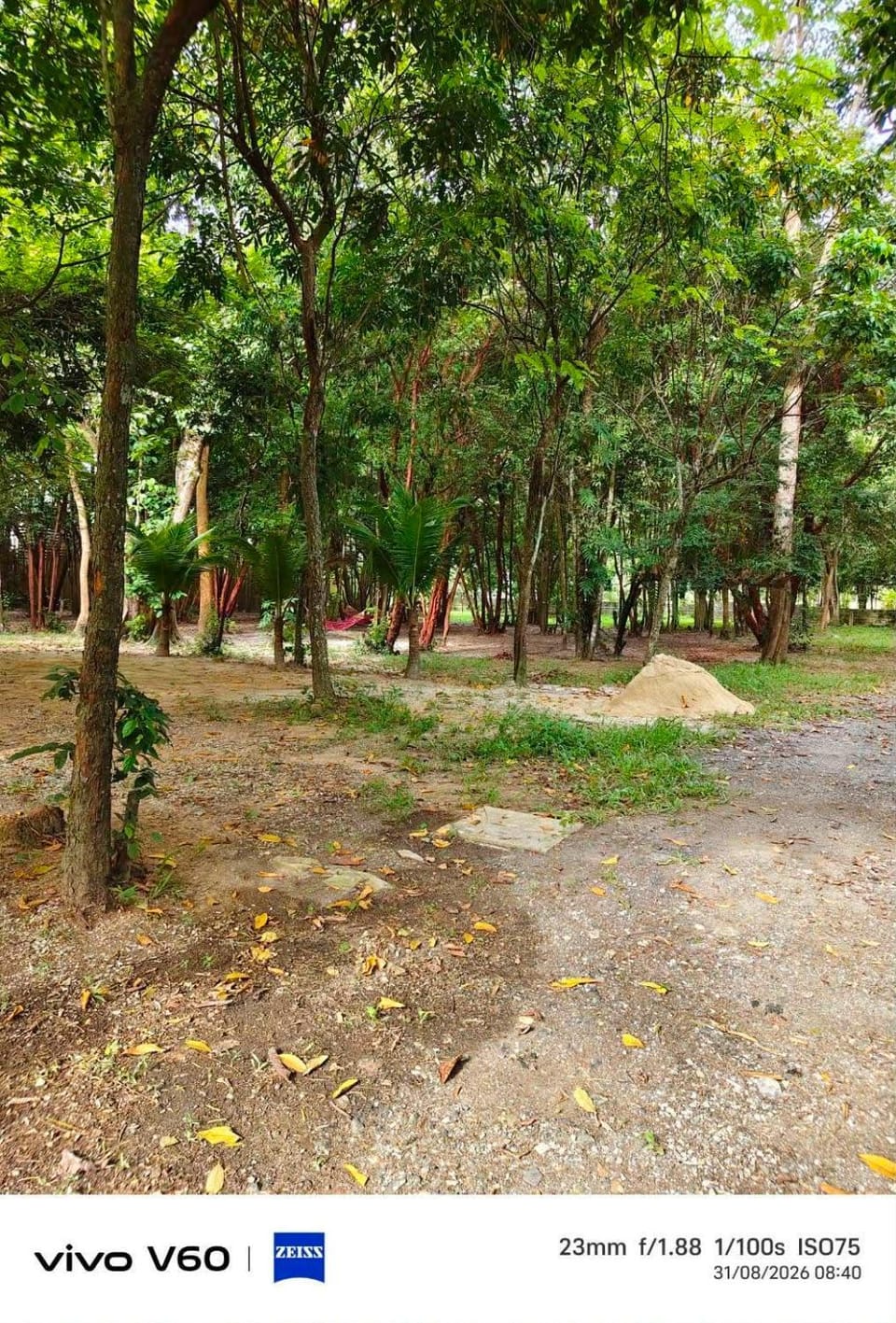 Natural landscape, Garden, Garden view