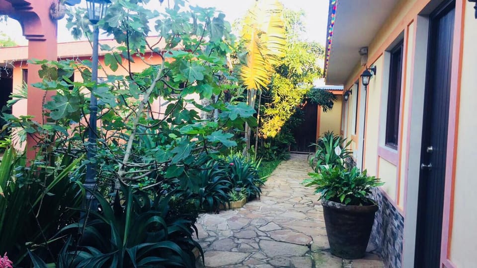 Garden view
