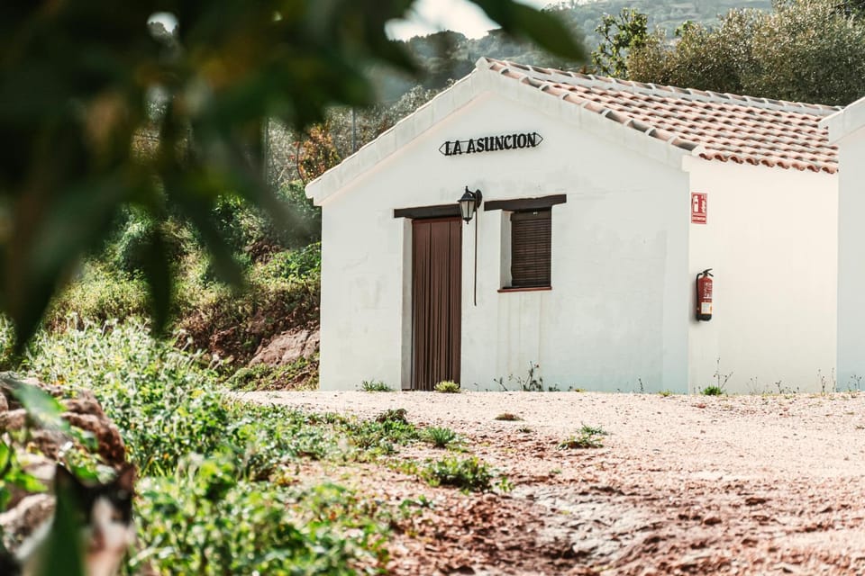 Camping de Yunquera Campground/ 
RV Resort in Sierra de las Nieves