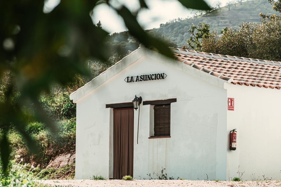 Camping de Yunquera Campground/ 
RV Resort in Sierra de las Nieves