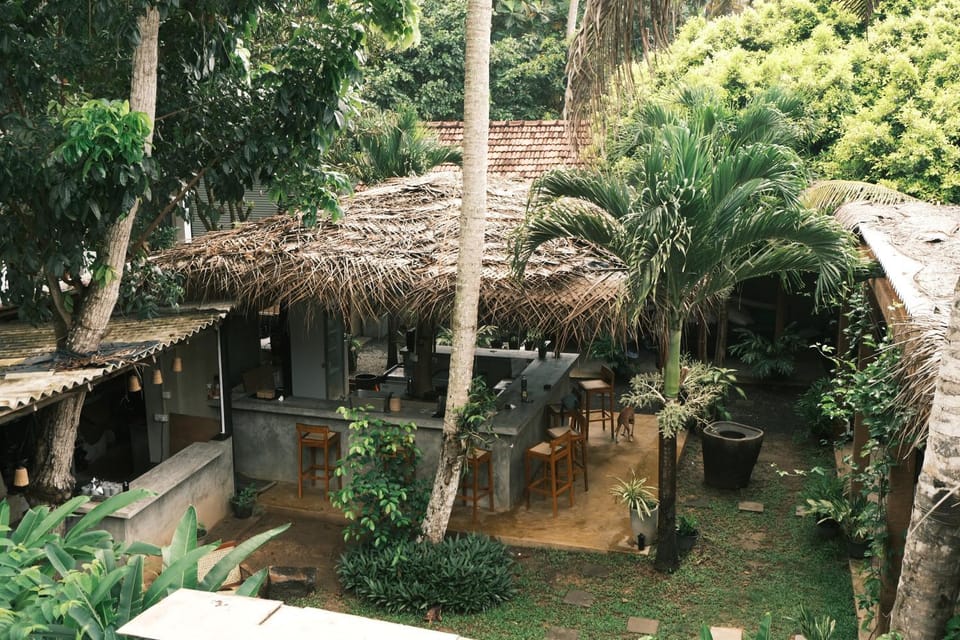 Natural landscape, Garden, Lounge or bar