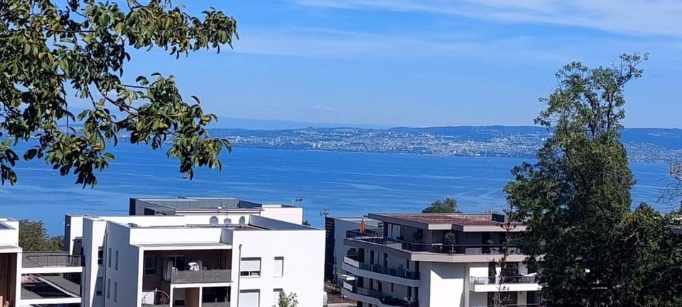 T3 avec grande terrasse et vue lac Évian Apartment in Évian-les-Bains