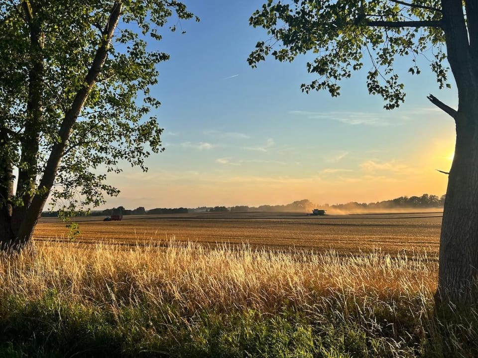 koldi - Historic House with 4 bedrooms each with en-suite bathrooms Apartment in Mecklenburgische Seenplatte