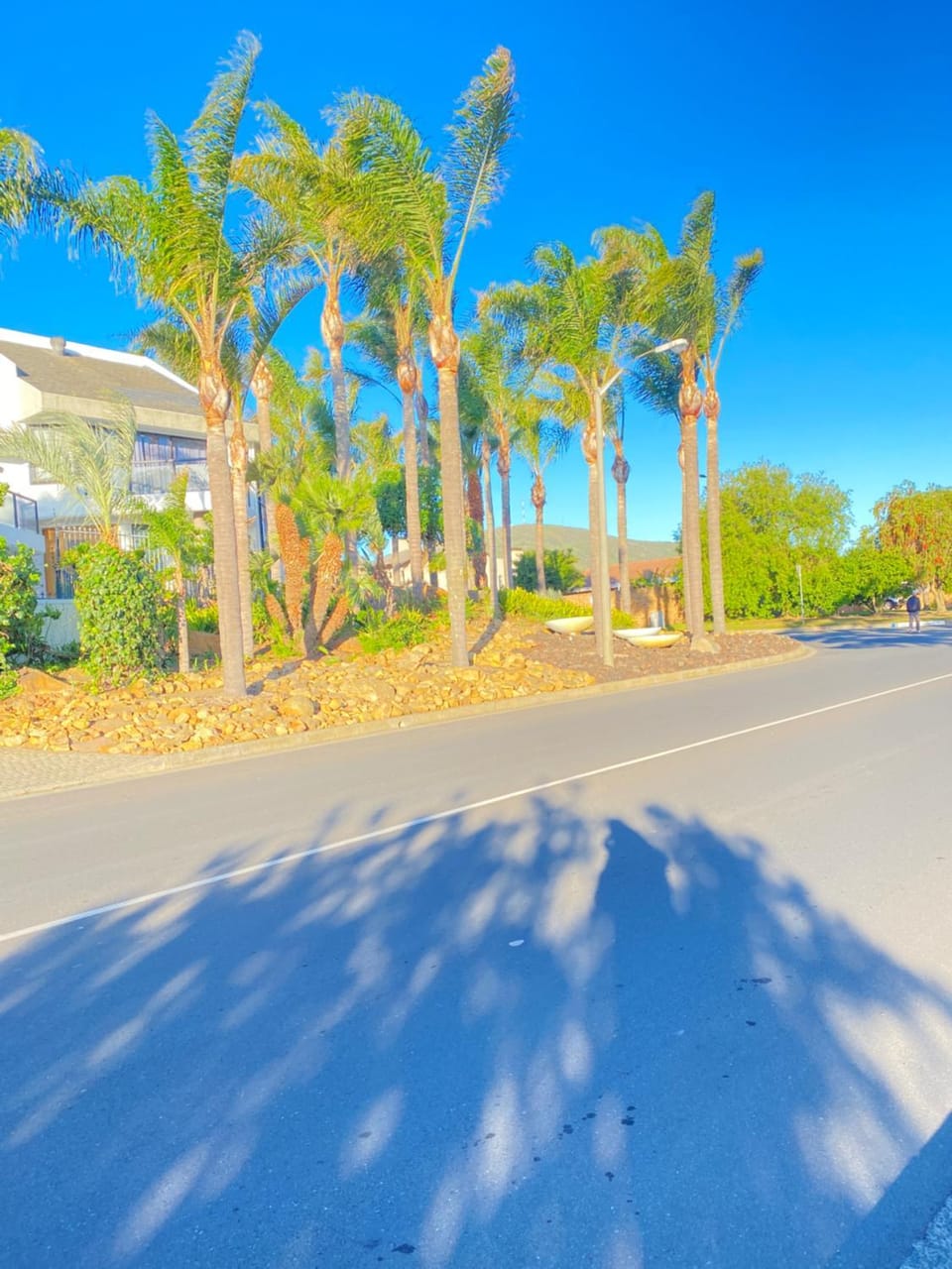 Quiet street view