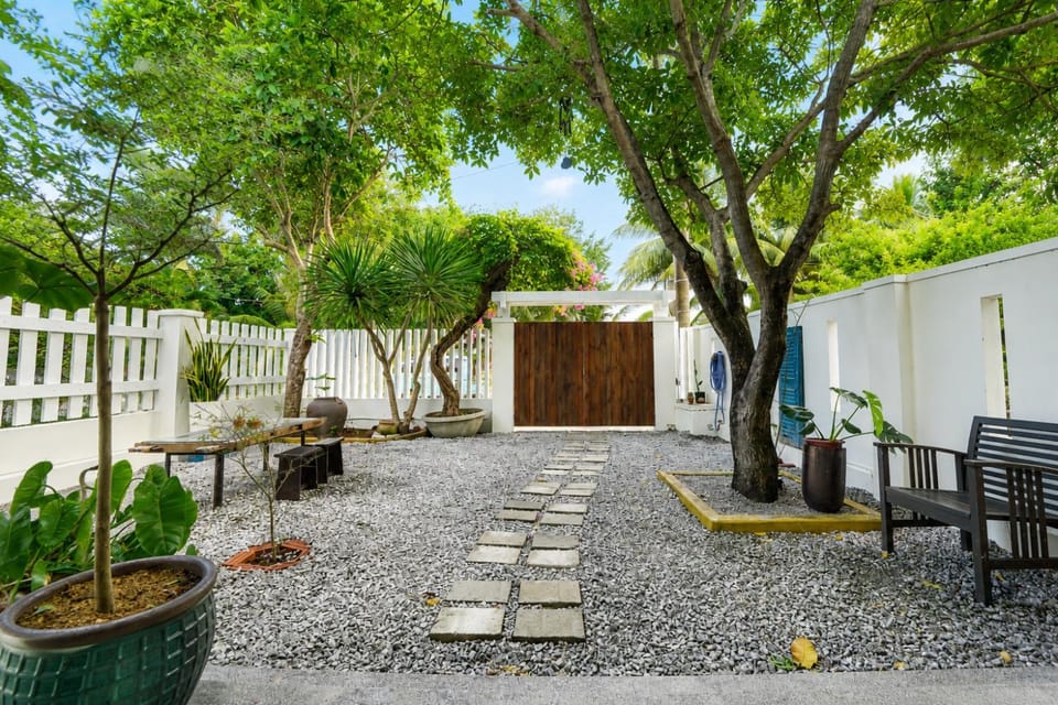 Patio, Garden