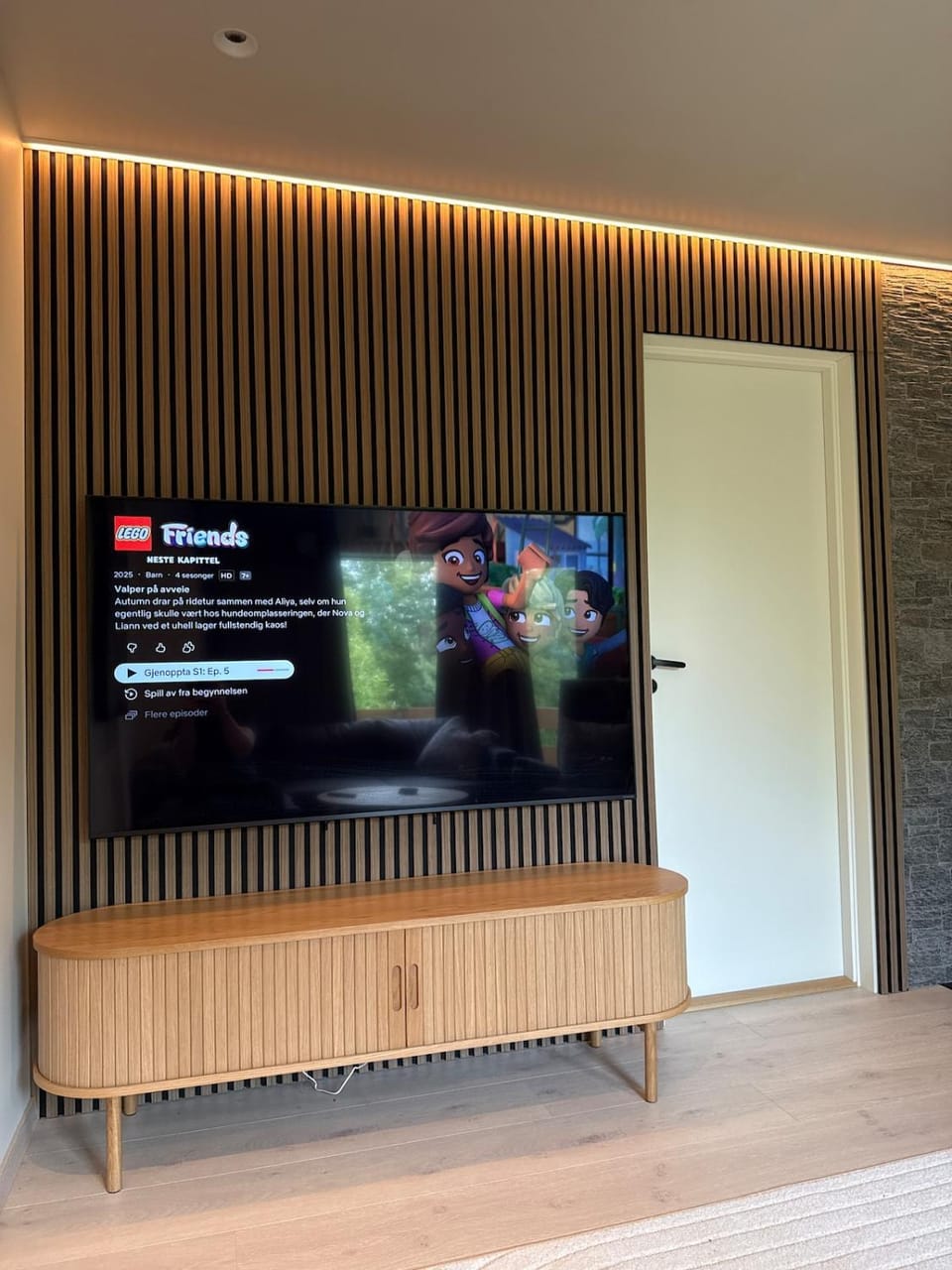 TV and multimedia