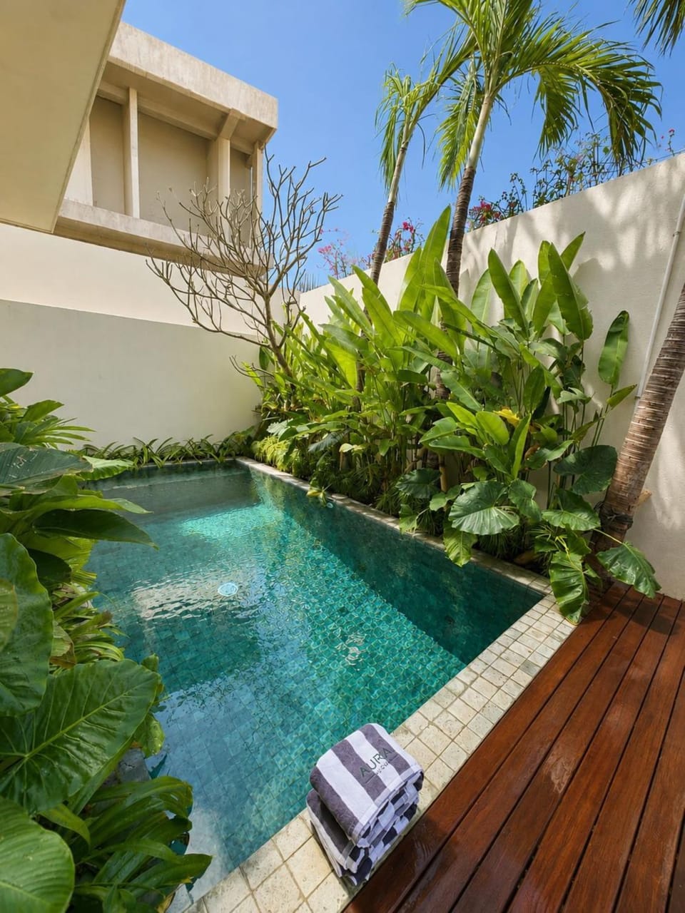 Garden, Swimming pool
