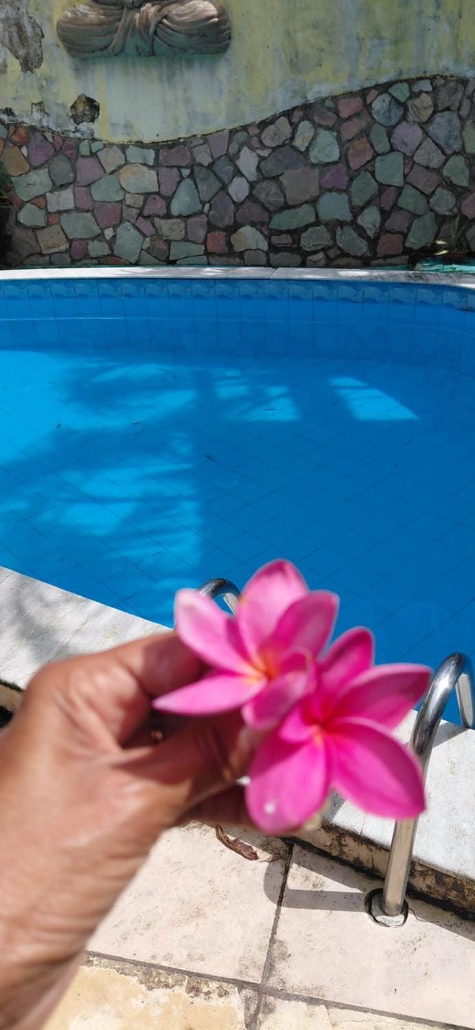 apartamento ponta negra com piscina Apartment in Parnamirim