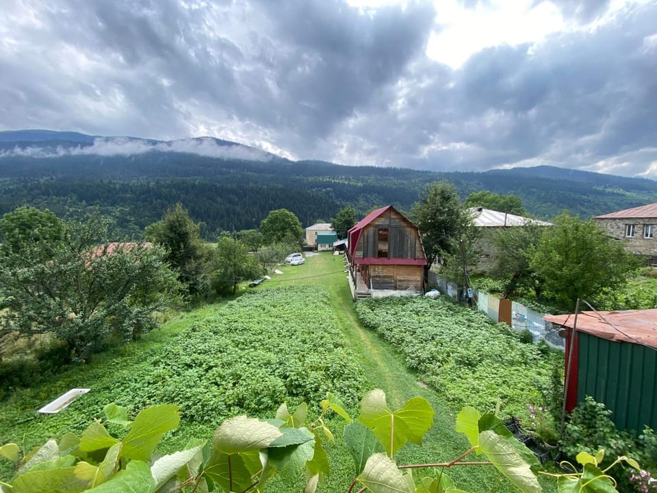 Day, Natural landscape, Balcony/Terrace, Garden view, Mountain view