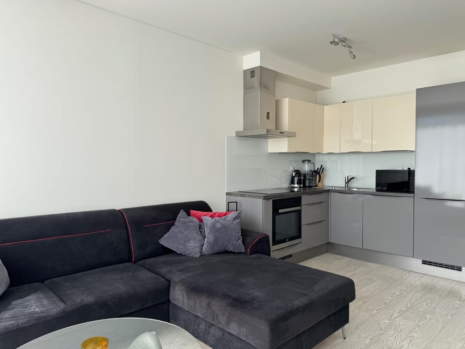 Coffee/tea facilities, Kitchen or kitchenette, Living room, Seating area, oven, stove, toaster