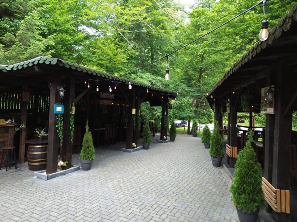 Vila Ursu- Tismana Bed and Breakfast in Romania
