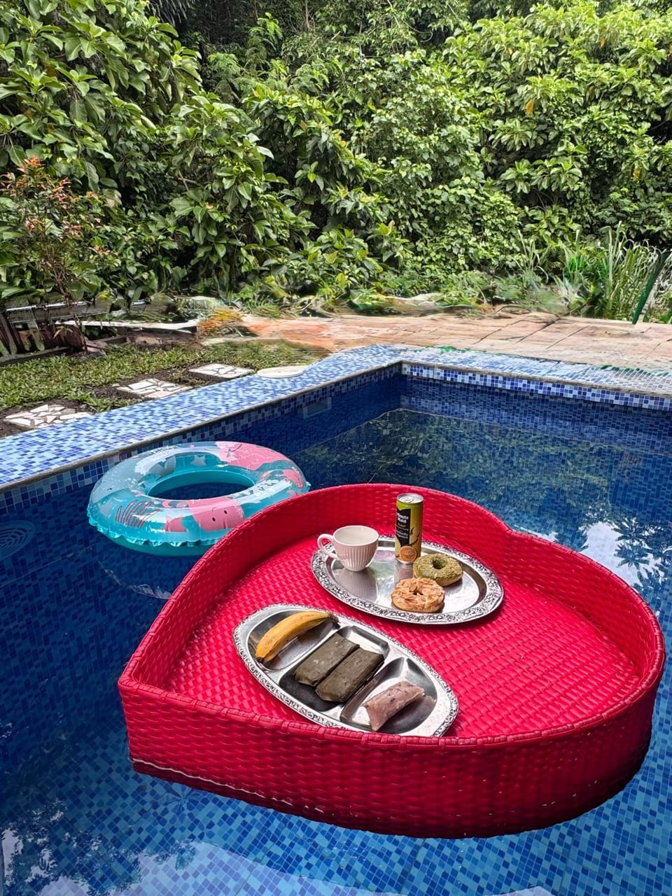 Day, Garden, Food and drinks, Food, Garden view, Pool view, Swimming pool, Drinks, sunbed