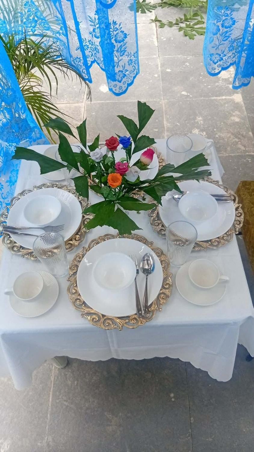 Food and drinks, Dining area, Food