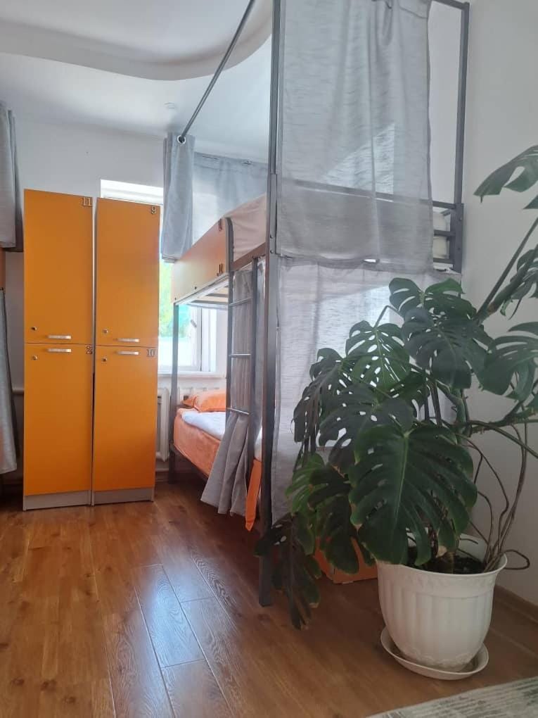 Ranger's Hostel Hostel in Almaty Region, Kazakhstan