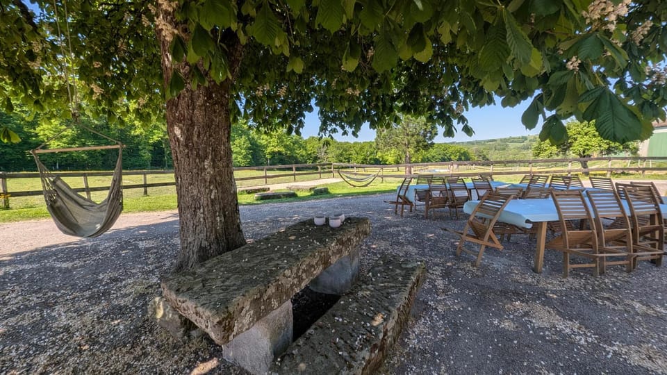 L'Ecrin de Laure - Demeure 28 couchages - SPA et SAUNA en option House in Vosges