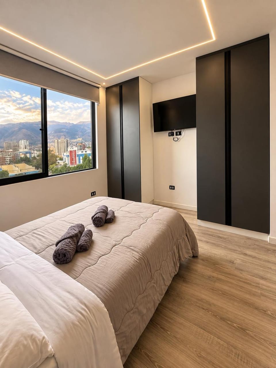 Bed, TV and multimedia, Photo of the whole room, wardrobe