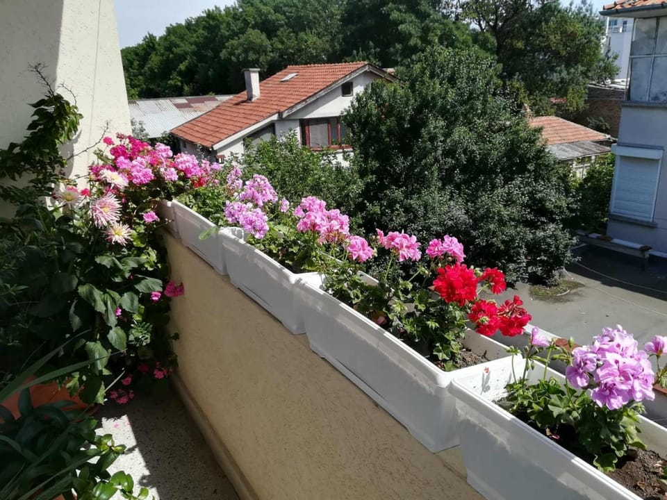 Sarafovo Beach end Airport Residence 3 Bedrooms Eurovision Edition Apartment in Burgas