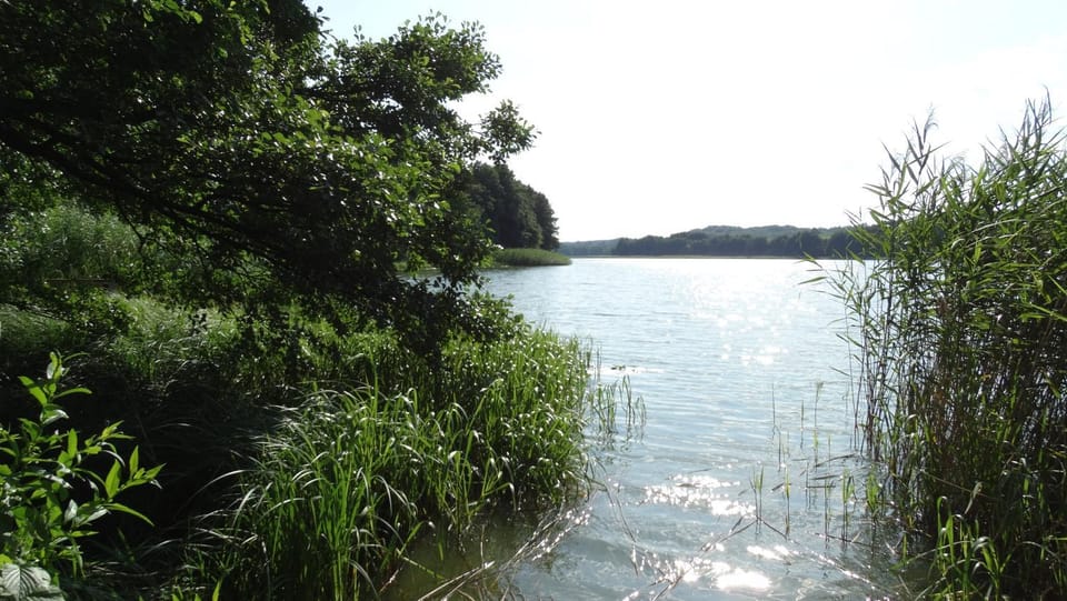 Nearby landmark, Natural landscape