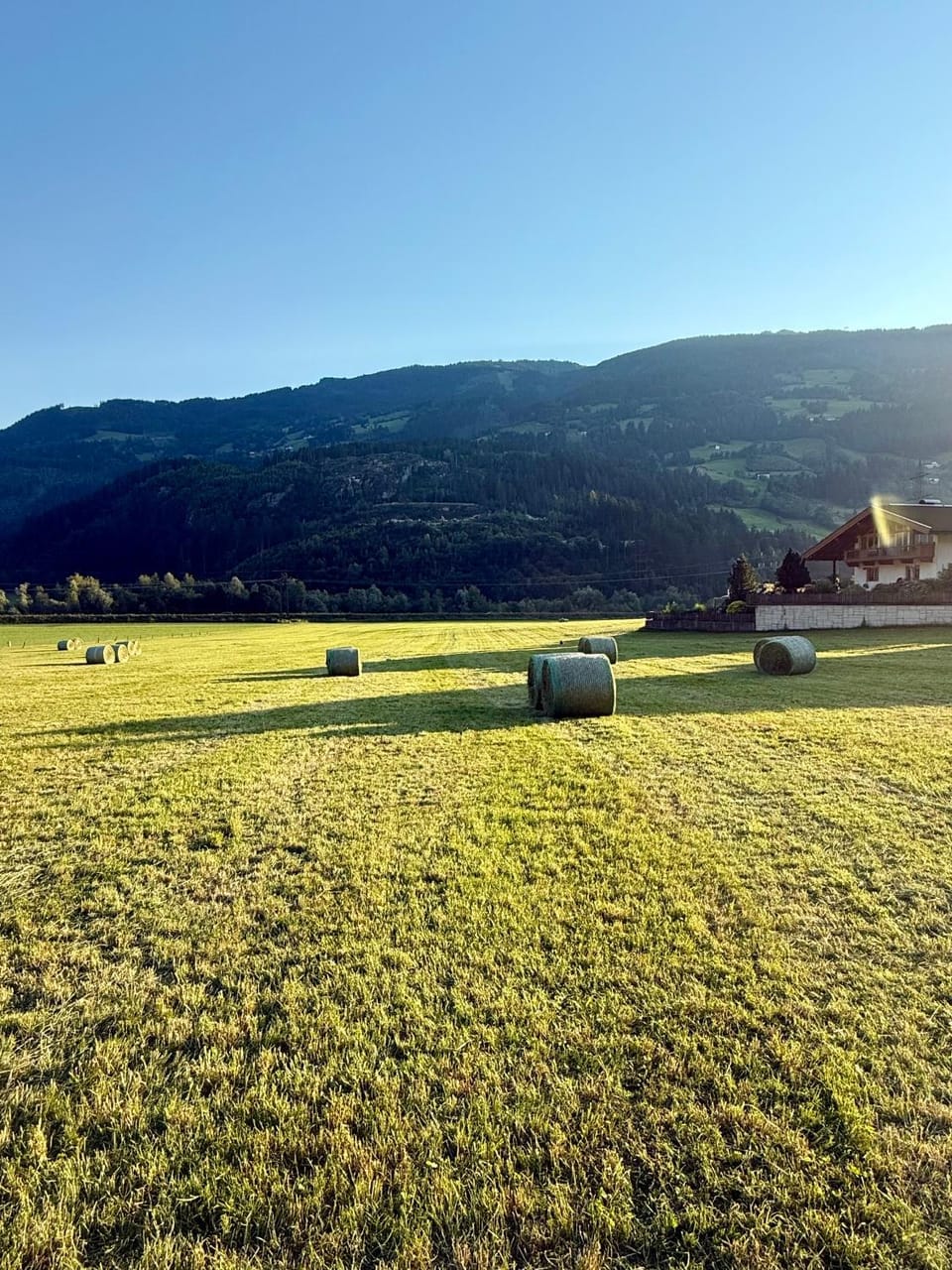 Bohringerhof- Gemütliches Privatzimmer im Zillertal Vacation rental in Tyrol
