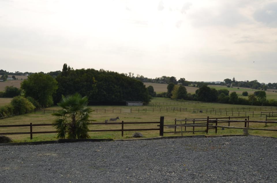 View (from property/room)