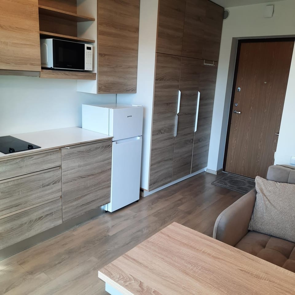 AM Studio Apartment in City Centre Apartment in Palanga