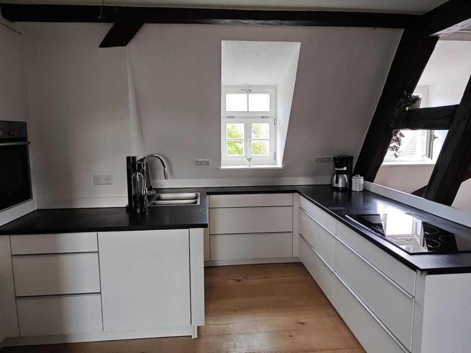 Kitchen or kitchenette, dishwasher, stove