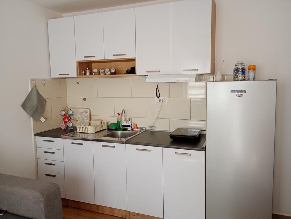 Apartman Vasilija Apartment in Serbia