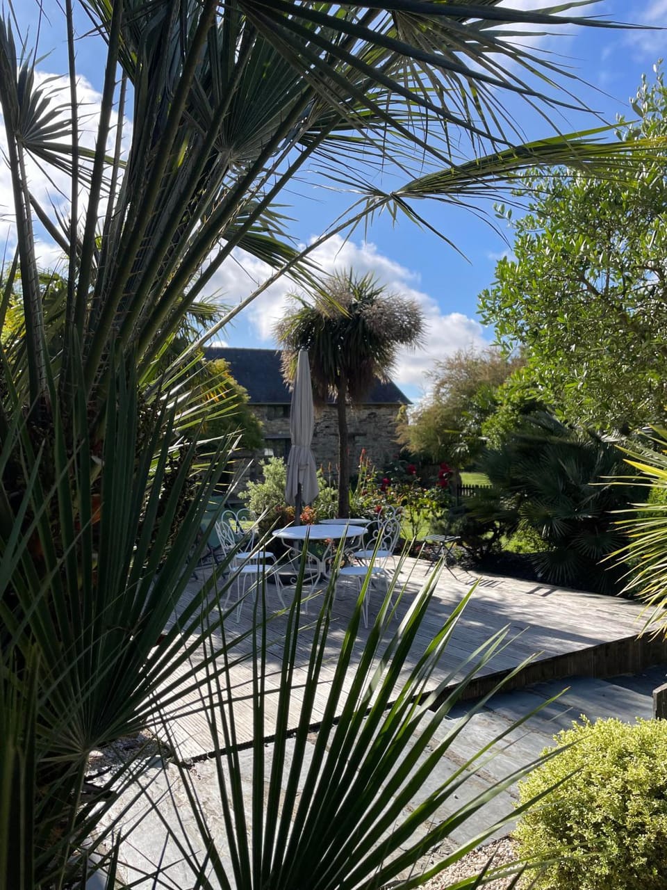 Garden view