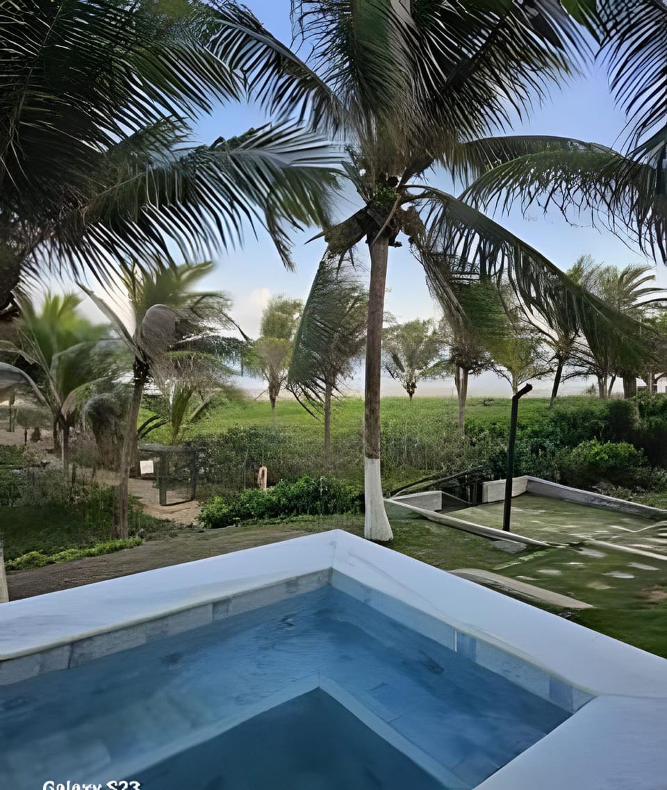 Hot Tub, Swimming pool