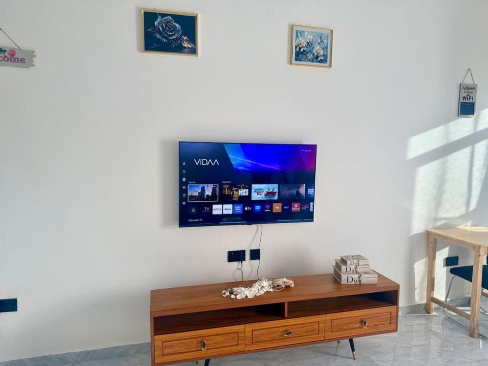 TV and multimedia