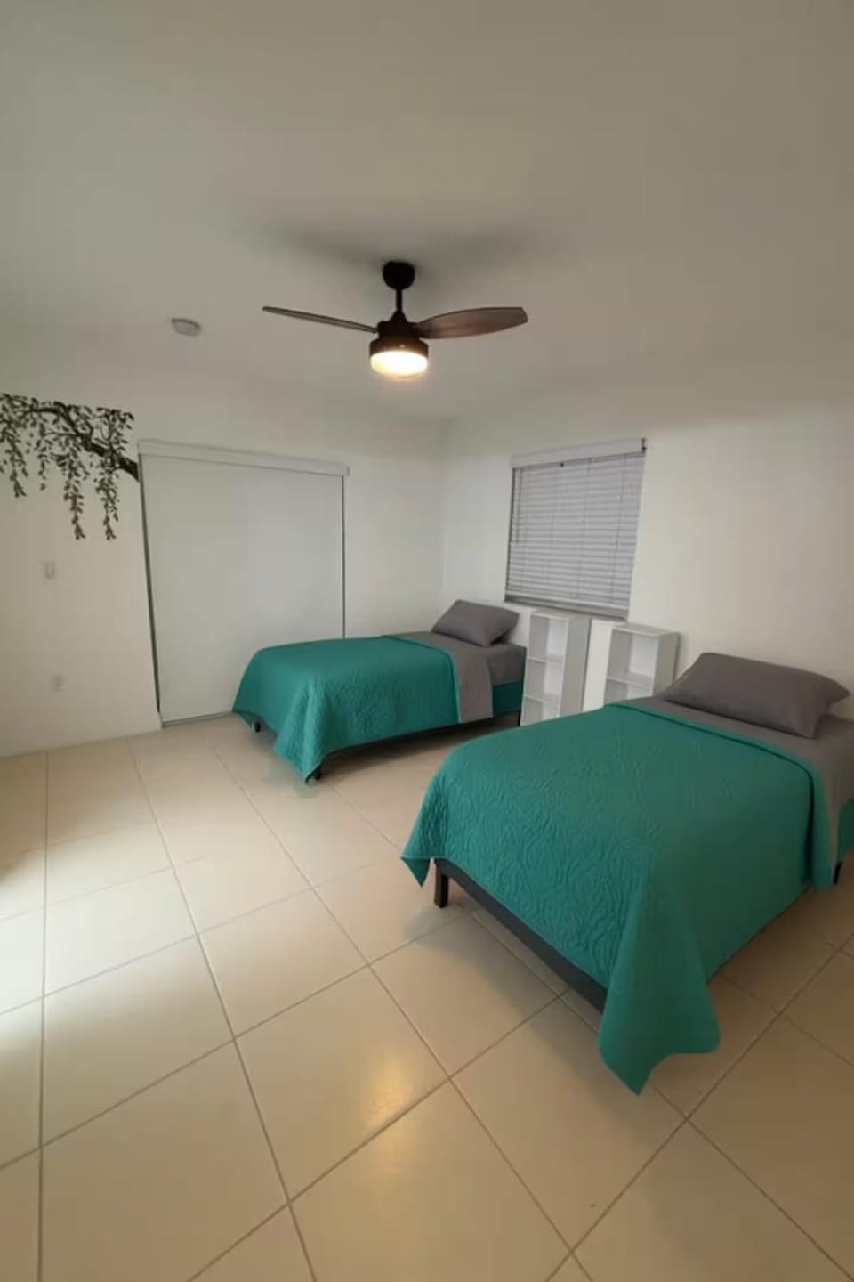The Femme Collective Hostel in Miami
