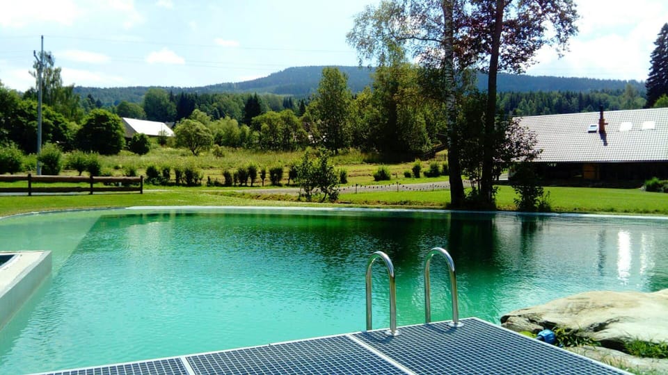 Swimming pool, Swimming pool