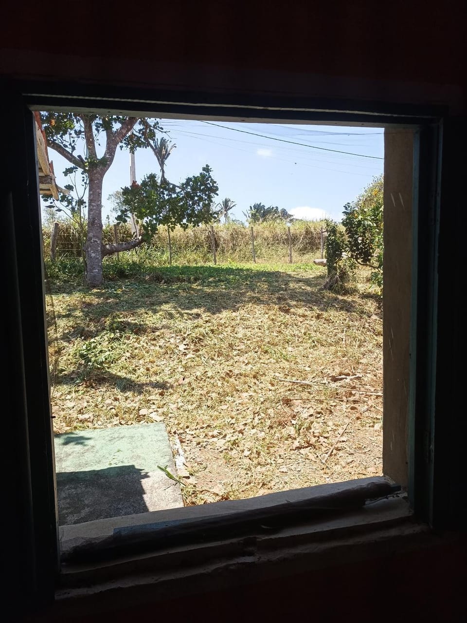 View (from property/room)