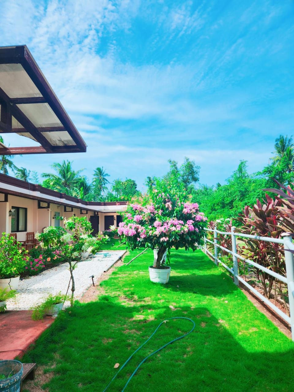 Irishlodge Vacation rental in Panglao