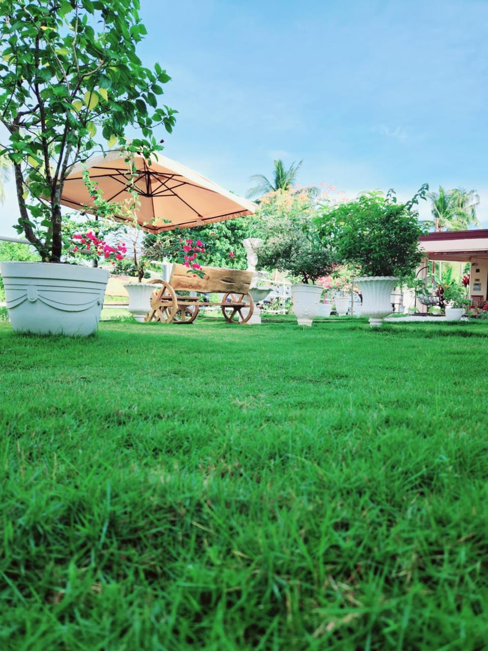 Irishlodge Vacation rental in Panglao