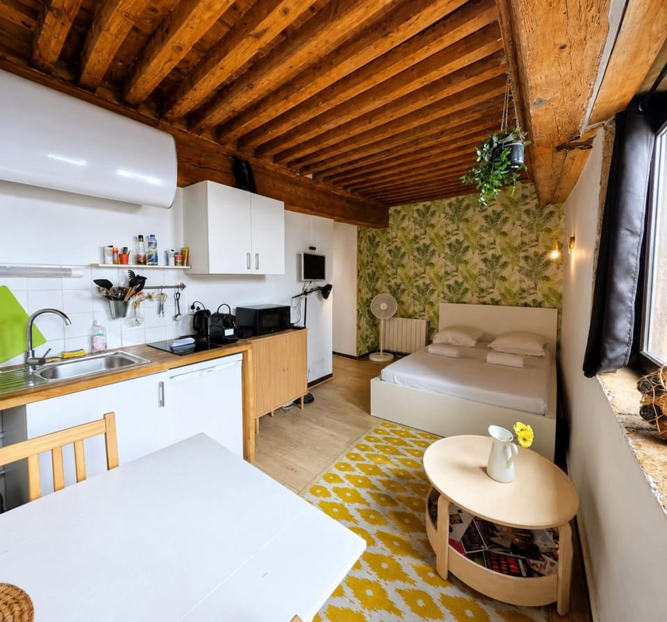 Charming 21m studio - Opéra & Terreaux Lyon Apartment in Lyon