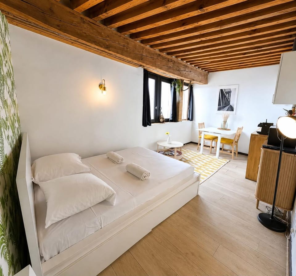 Charming 21m studio - Opéra & Terreaux Lyon Apartment in Lyon