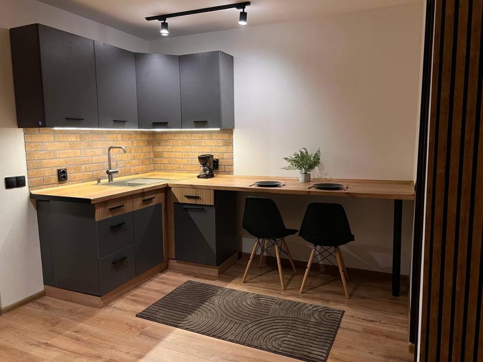 Kitchen or kitchenette, Dining area, stove