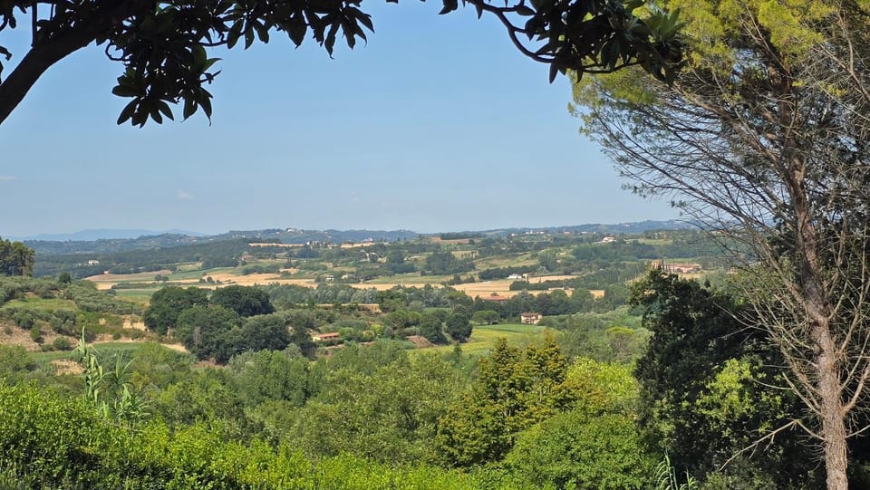 Natural landscape, View (from property/room)